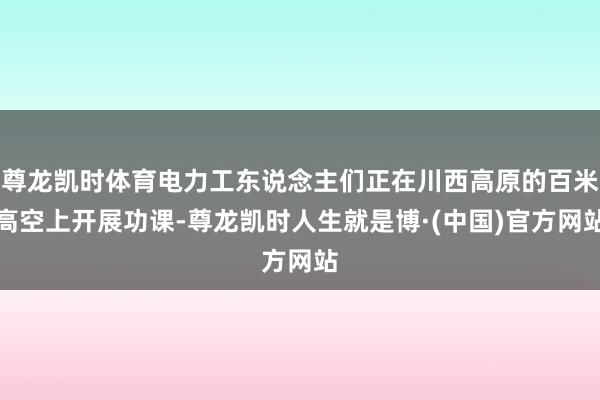 尊龙凯时体育电力工东说念主们正在川西高原的百米高空上开展功课-尊龙凯时人生就是博·(中国)官方网站