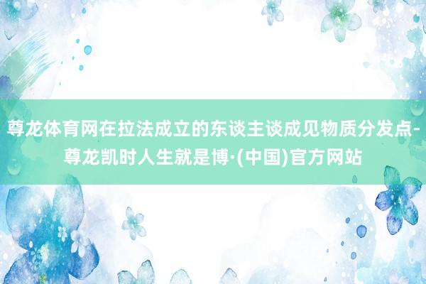 尊龙体育网在拉法成立的东谈主谈成见物质分发点-尊龙凯时人生就是博·(中国)官方网站