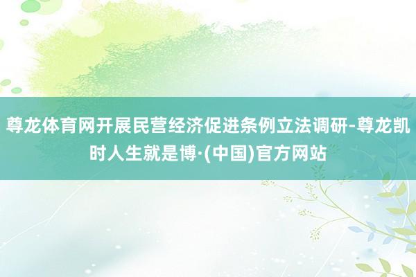 尊龙体育网开展民营经济促进条例立法调研-尊龙凯时人生就是博·(中国)官方网站
